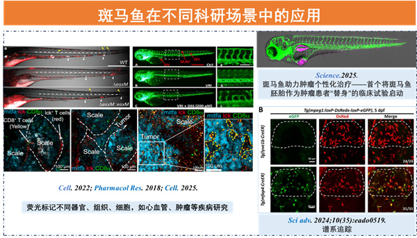微信图片_2026-03-17_131749_956.jpg 微信图片_2026-03-17_131749_956.jpg