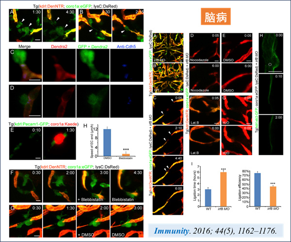 微信图片_2026-03-17_131752_106.jpg 微信图片_2026-03-17_131752_106.jpg