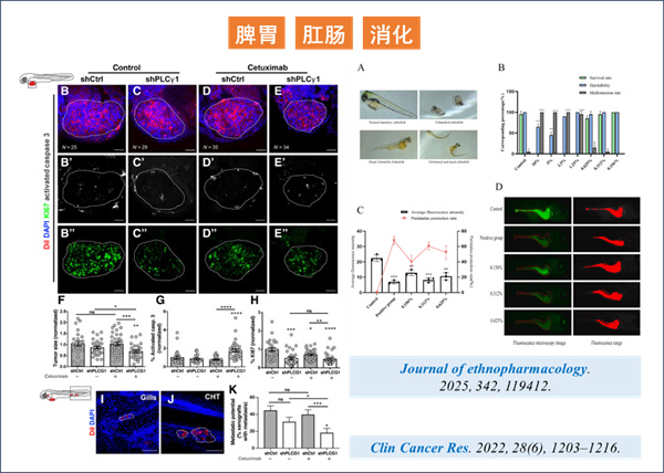微信图片_2026-03-17_131754_538.jpg 微信图片_2026-03-17_131754_538.jpg