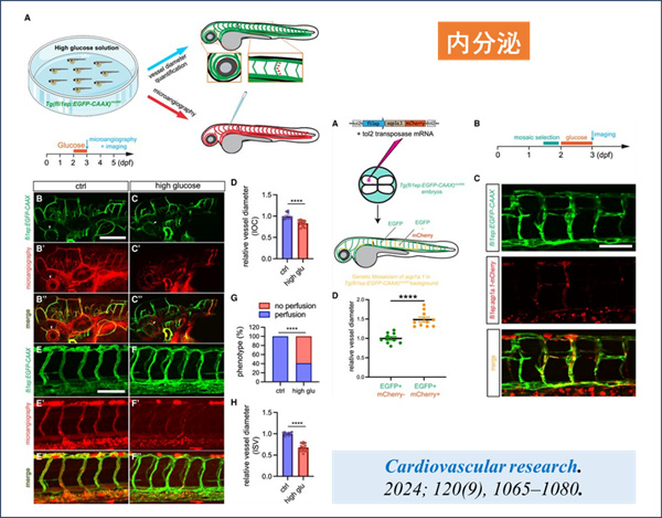 微信图片_2026-03-17_131756_752.jpg 微信图片_2026-03-17_131756_752.jpg