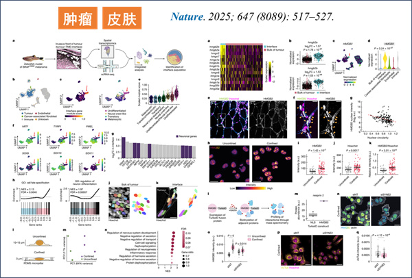 微信图片_2026-03-17_131758_717.jpg 微信图片_2026-03-17_131758_717.jpg