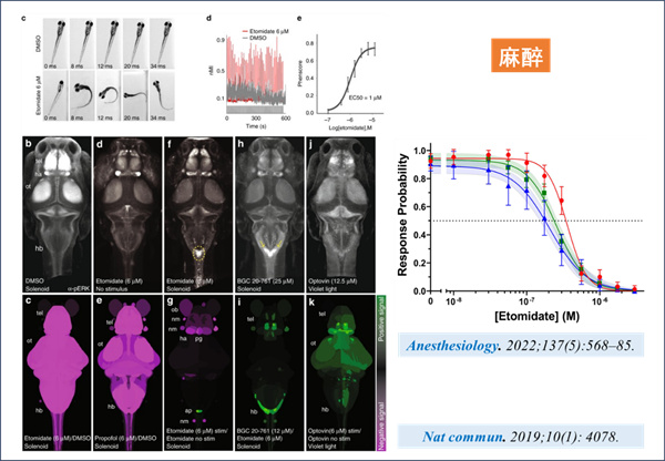 微信图片_2026-03-17_131800_792.jpg 微信图片_2026-03-17_131800_792.jpg