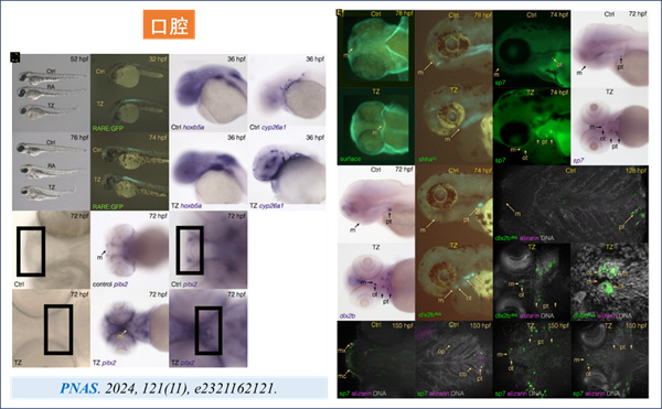 微信图片_2026-03-17_131802_818.jpg 微信图片_2026-03-17_131802_818.jpg