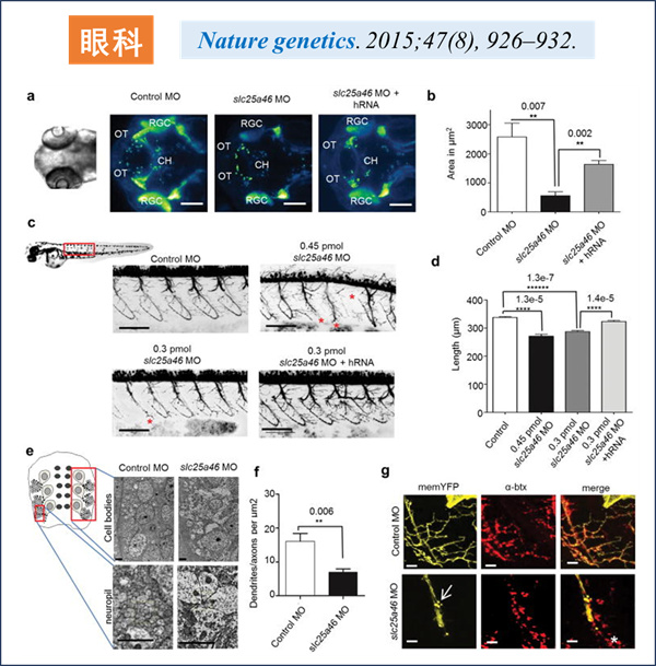微信图片_2026-03-17_131805_322.jpg 微信图片_2026-03-17_131805_322.jpg