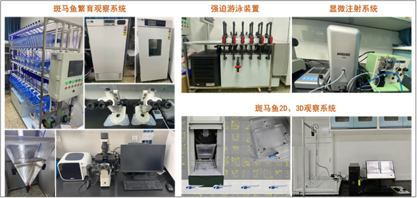 微信图片_2026-03-17_131807_803.jpg 微信图片_2026-03-17_131807_803.jpg