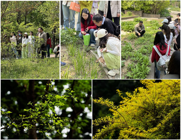 识药踏春 问道本草 | 西苑医院学生党支部到国家植物园开展社会实践活动